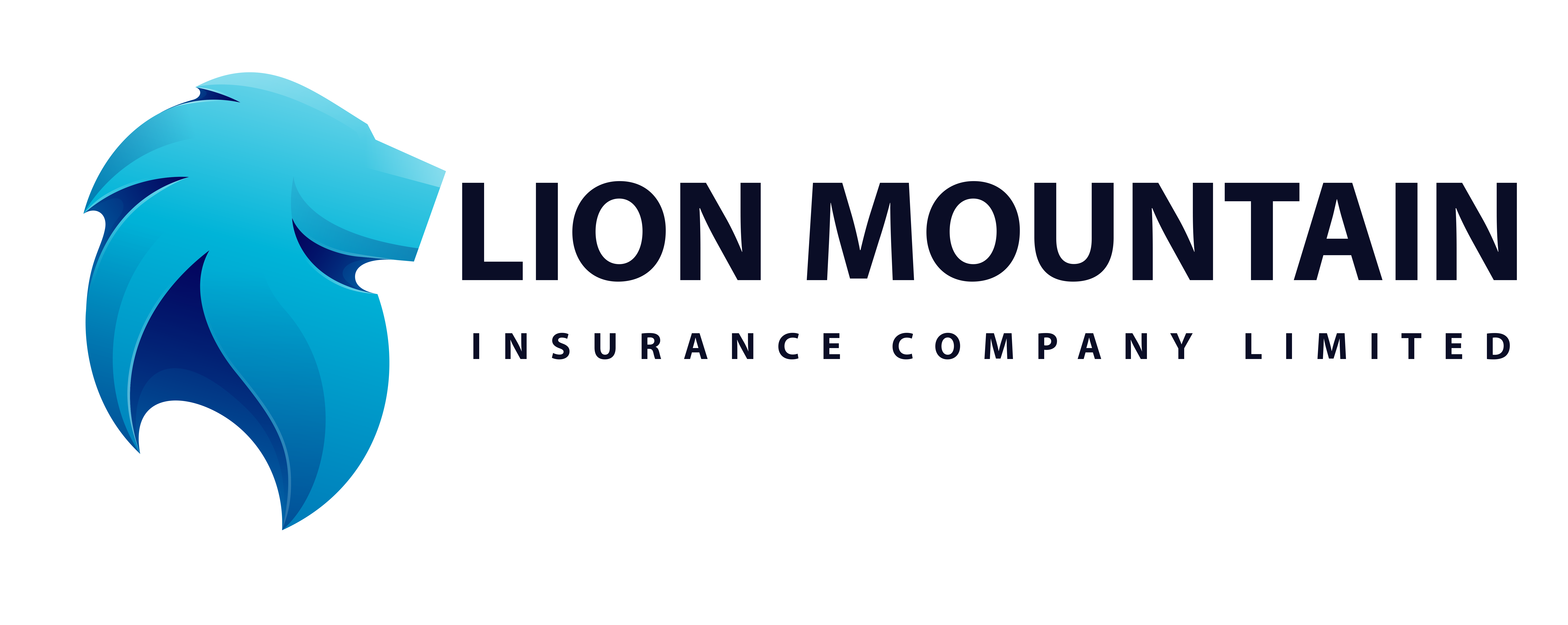 Lion Mountain Insurance Company